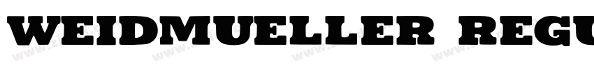Weidmueller Regular字体转换